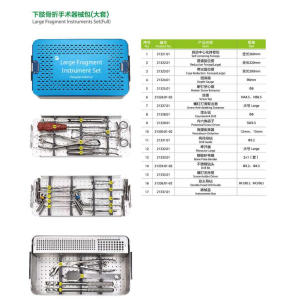 OEM/ODM for Upper Limb Instrument Set Large Fragment Instrument Set supply to Jamaica Factory